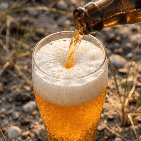 Ulvshale Session IPA